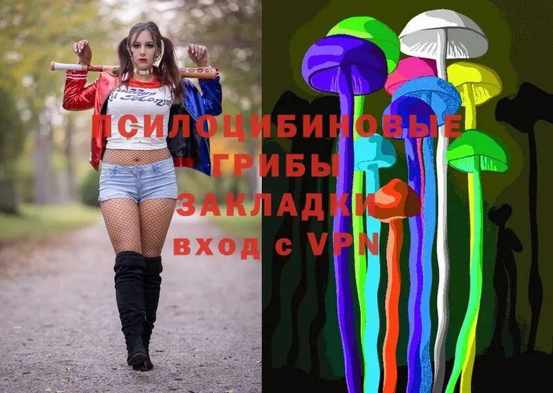 blacksprut маркетплейс  Полысаево  Галлюциногенные грибы MAGIC MUSHROOMS 